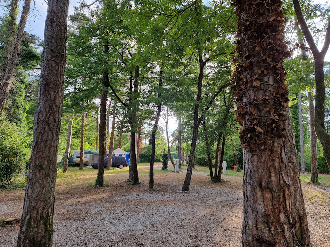 Nei boschi, vicino Trieste, a pochi km dal mare